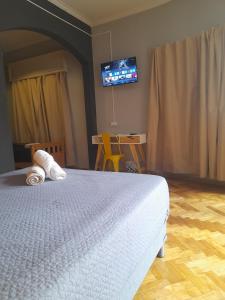 a bedroom with a bed and a flat screen tv at Mora Hostel in Mendoza
