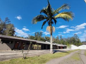 a palm tree in front of a building at Casa do Bem Estar Picada Café in Picada Cafe