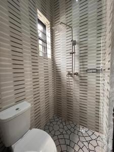 a bathroom with a white toilet and a shower at Tameeza stays in Sangotedo