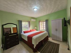 a bedroom with a bed and a mirror and green walls at Royal Escape - 1 in Anse La Raye