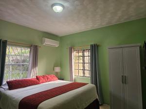 a bedroom with green walls and a bed with red pillows at Royal Escape - 1 in Anse La Raye