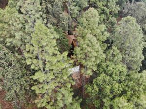 an aerial view of a forest with a house in the middle at Cabaña sueño real in Mazamitla