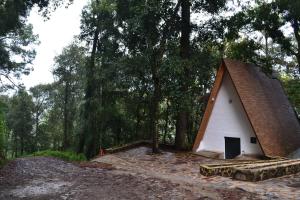 a small white house with a roof in the woods at Cabaña sueño real in Mazamitla