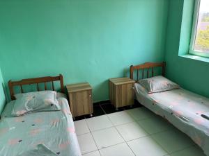 two twin beds in a room with blue walls at Tolia in Ureki