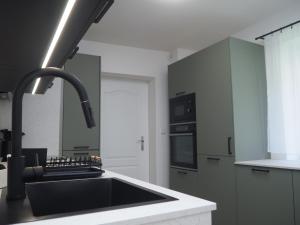 a kitchen with a sink and a counter top at Popelucha in Lomnice nad Popelkou