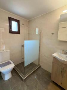 a bathroom with a shower and a toilet and a sink at STV Royal Apartments 3 in Areopoli
