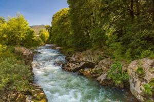 a river with rapids on the side of a forest at Casa Elena in Cangas de Onís