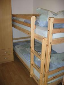 a bunk bed with a ladder to a bunk bed at Landidyll in Ummanz +4 photos