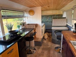 a dog is sitting in the kitchen of a tiny house at Debdale Bus Retreat in Little Dalby