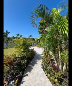a pathway with palm trees and flowers on a beach at Coral House - Luxury 3BR Villa - Private Pool - 30 min from MBJ Airport! in Falmouth