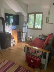 a bedroom with a crib and a tv in a room at Sopotnica - Apartman na vodopadima in Prijepolje