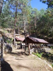 a building with a roof in the middle of a forest at Aldea Axocobaca in Zoquitlán