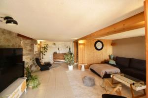 a living room with a couch and a tv at Lodge Les Cariolettes in Font-Romeu-Odeillo-Via