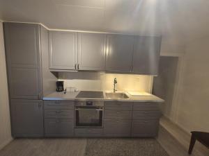 a kitchen with stainless steel cabinets and a sink at Nordic Stay in Grimstad