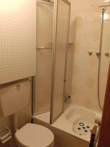 a bathroom with a shower and a toilet and a tub at Il gallo alpino a Champorcher in Champorcher