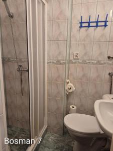 a bathroom with a shower and a toilet and a sink at Bursztyn in Władysławowo +41 photos