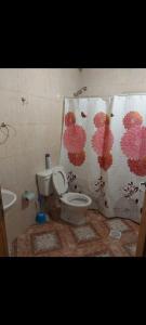 a bathroom with a toilet and a shower curtain at Alojamiento LA ROSALIA in Yacimiento Río Turbio