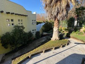 a palm tree in a yard next to a building at Casa Super Vista a los Andes in Santiago +8 photos
