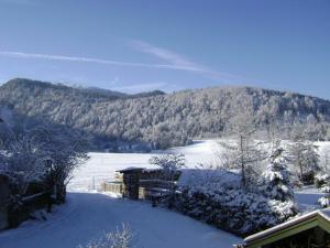 un patio cubierto de nieve con una casa y una montaña en Haus Egger en Reit im Winkl