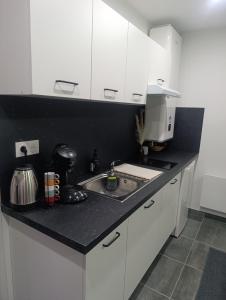 a kitchen with a sink and a counter top at Studio cosy Boulazac in Boulazac