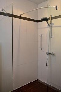 a shower with a glass door in a bathroom at Parrot Villa in Palm-Eagle Beach