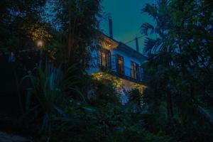 a house at night with lights in the trees at Villa Deniyaya in Deniyaya