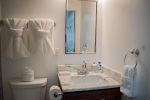 a bathroom with a sink and a toilet and a mirror at National Harbor Suite 1 in Fort Washington