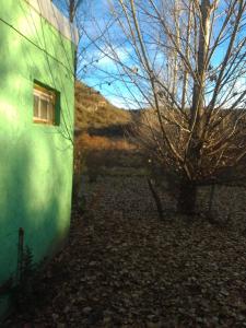 a green building with a window next to a tree at Refugio de Monte in San Luis