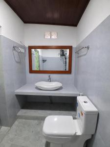 a bathroom with a sink and a toilet and a mirror at Moonstone Holiday Cottages in Badulla