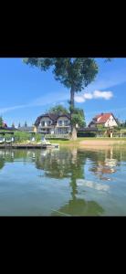 a view of a lake with a tree and houses at Pokój Zełwągi in Mikołajki