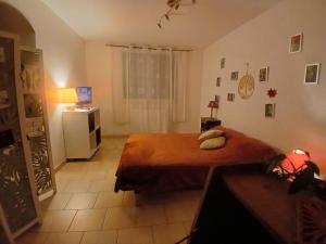 a bedroom with a bed and a refrigerator at Chez Lulu Grand Studio Cote Jardin avec Veranda in Saint-Sernin