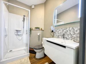 a bathroom with a toilet and a sink and a shower at La cour des grands in Arras +11 photos