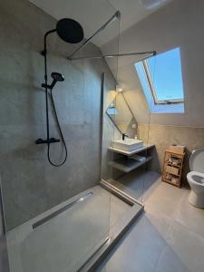 a glass shower in a bathroom with a toilet at Chalupa u Zíků in Černá v Pošumaví
