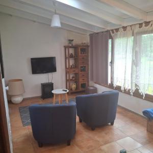 a living room with two blue chairs and a television at Apartamentos la Higar in La Pesa