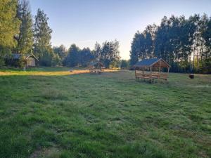 a large field with two gazebos in the grass at Malowane Wrota Camp - Gniazdko in Łazy