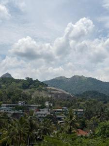 a city with palm trees and mountains in the background at Aamys Home in Kalpetta