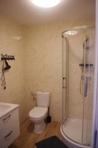 a bathroom with a toilet and a shower at Laskowy Sad pokoje gościnne agroturystyka in Wieniec +9 photos