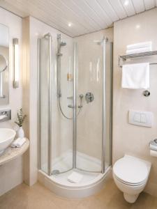 a bathroom with a shower with a toilet and a sink at Haus Rose in Allensbach +60 photos