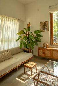 a living room with a couch and a potted plant at Tropical Haven in Panaji