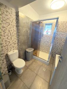 a bathroom with a toilet and a shower at Cajara Home in Bucharest +11 photos