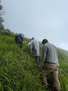 a group of people walking in the tall grass at FREEDOM HOUSE, Munnar - A Backpackers Hostel in Munnar