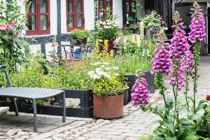 un jardín con un banco y flores frente a una casa en Grundfør bed and breakfast en Grundfør