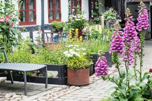 un jardín con un banco y flores frente a una casa en Grundfør bed and breakfast, en Grundfør