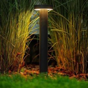 a light in the middle of some tall grass at De Villione Guesthouses in Bultfontein
