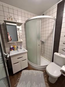 a bathroom with a shower and a toilet and a sink at Kosenko apartments in Zhytomyr
