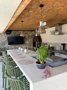 a kitchen with a long table with green chairs at Villa , Piscine Privée, Jacuzzi in Barbaggio