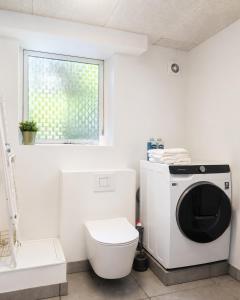 a bathroom with a toilet and a washing machine at Quiet and charming studio apartment in Vejle