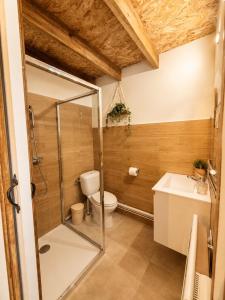 a bathroom with a shower and a toilet and a sink at Le Nid du Viaur in Pampelonne +5 photos