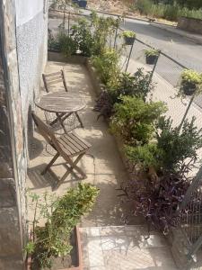 a patio with a table and chairs and plants at بيت الضيافه و الترحيب in Azrou