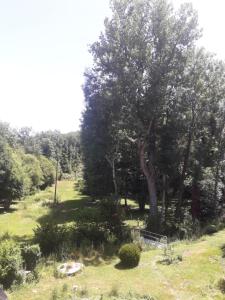 a park with a large tree in the grass at Gîte Le Pont du Soleil in Hyds